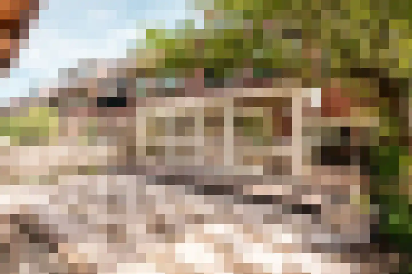 Willem Bontekoestraat 5 Almere thumbnail 37