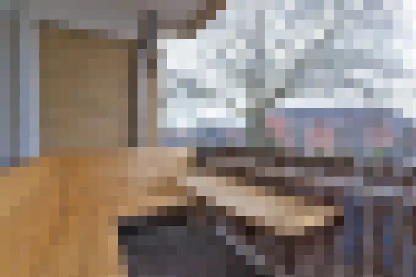 Willem Bontekoestraat 5 Hilversum thumbnail 19
