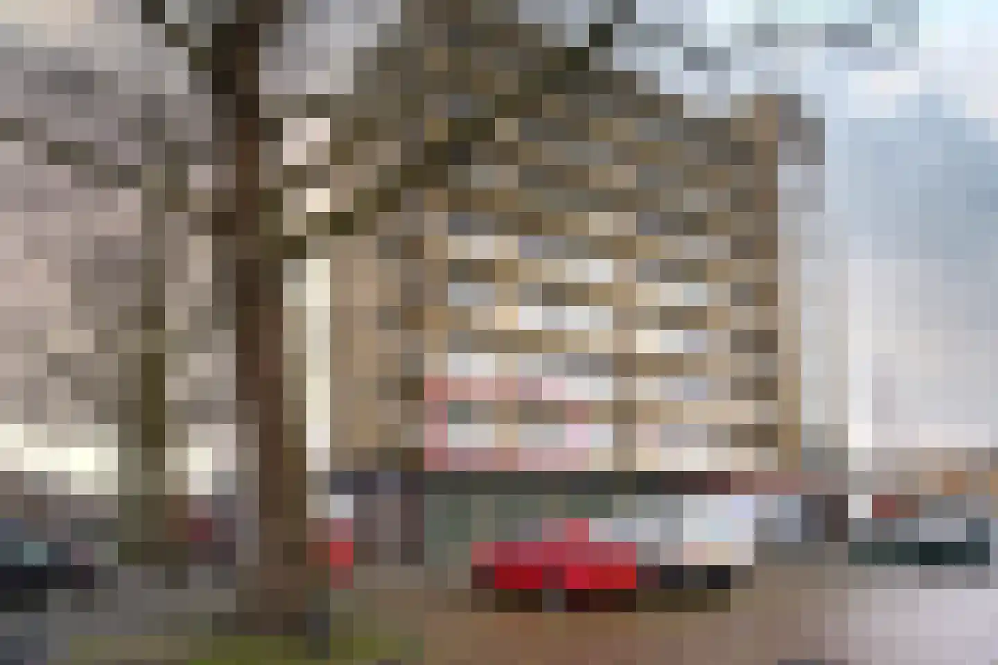 Willem Bontekoestraat 5 Hilversum thumbnail 7