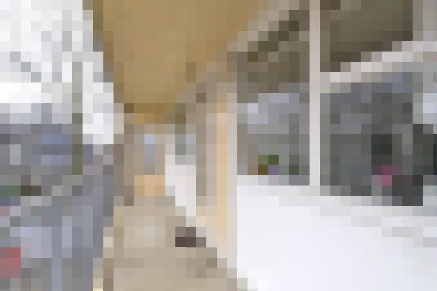 Willem Bontekoestraat 5 Hilversum thumbnail 9