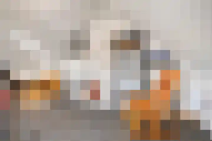 Willem Boyeweg 22 Gennep thumbnail 29