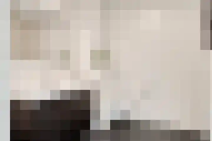 Willem Boyeweg 22 Gennep thumbnail 5