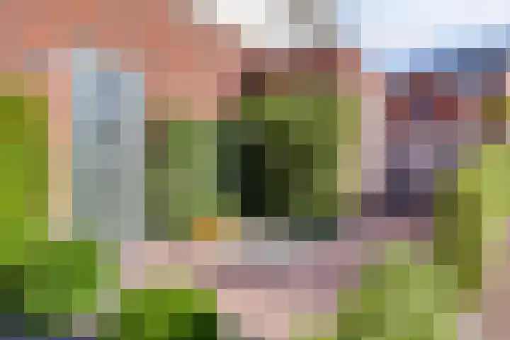 Willem Boyeweg 22 Gennep thumbnail 7