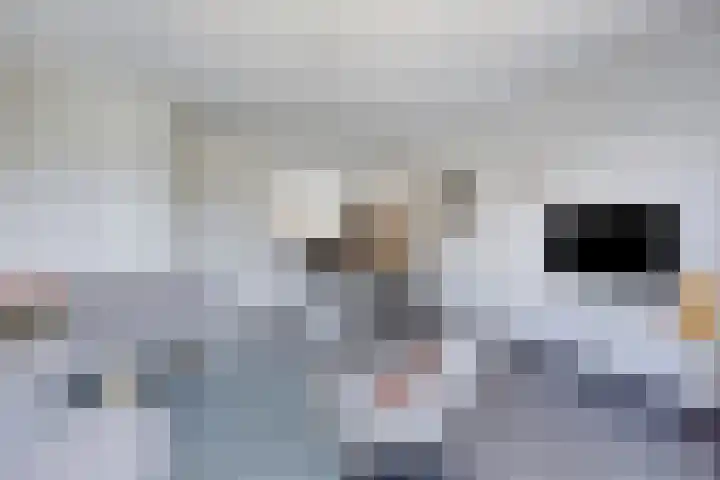 Willem Boyeweg 44 Gennep thumbnail 12
