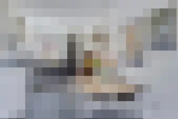 Willem Boyeweg 44 Gennep thumbnail 13