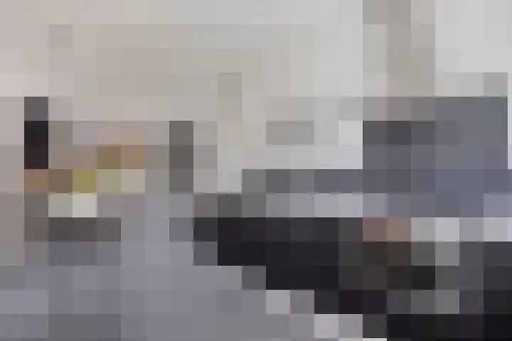 Willem Boyeweg 44 Gennep thumbnail 16