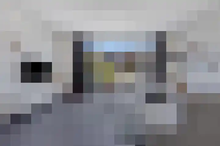 Willem Boyeweg 44 Gennep thumbnail 8