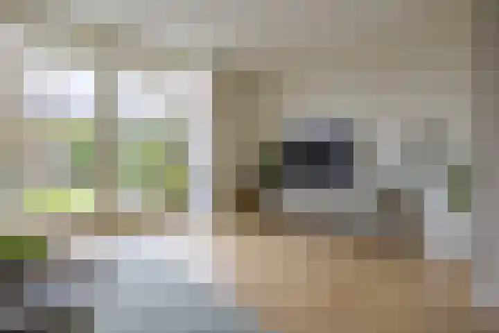 Willem Boyeweg 46 Gennep thumbnail 10
