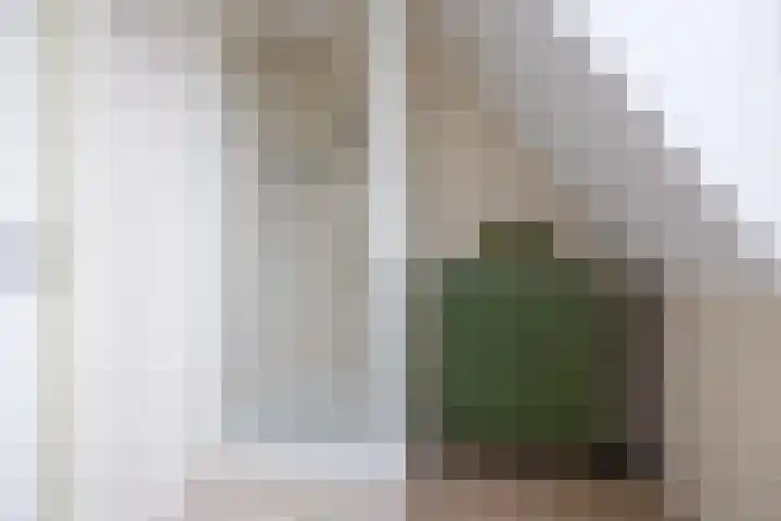 Willem Boyeweg 46 Gennep thumbnail 27