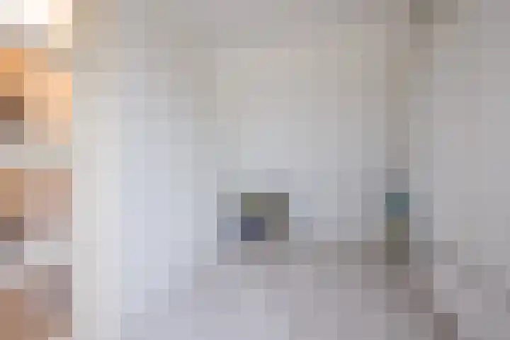Willem Boyeweg 46 Gennep thumbnail 32