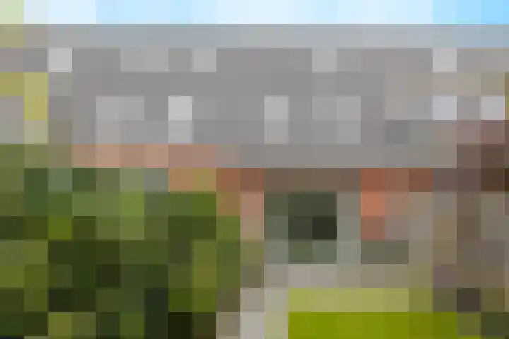 Willem Boyeweg 46 Gennep thumbnail 39
