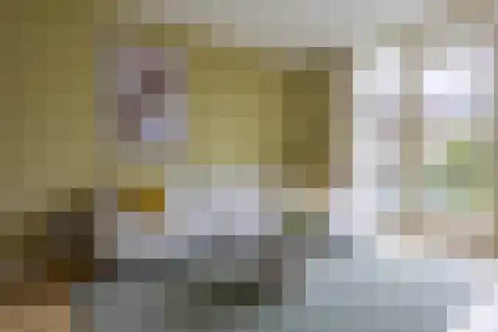 Willem Boyeweg 46 Gennep thumbnail 8