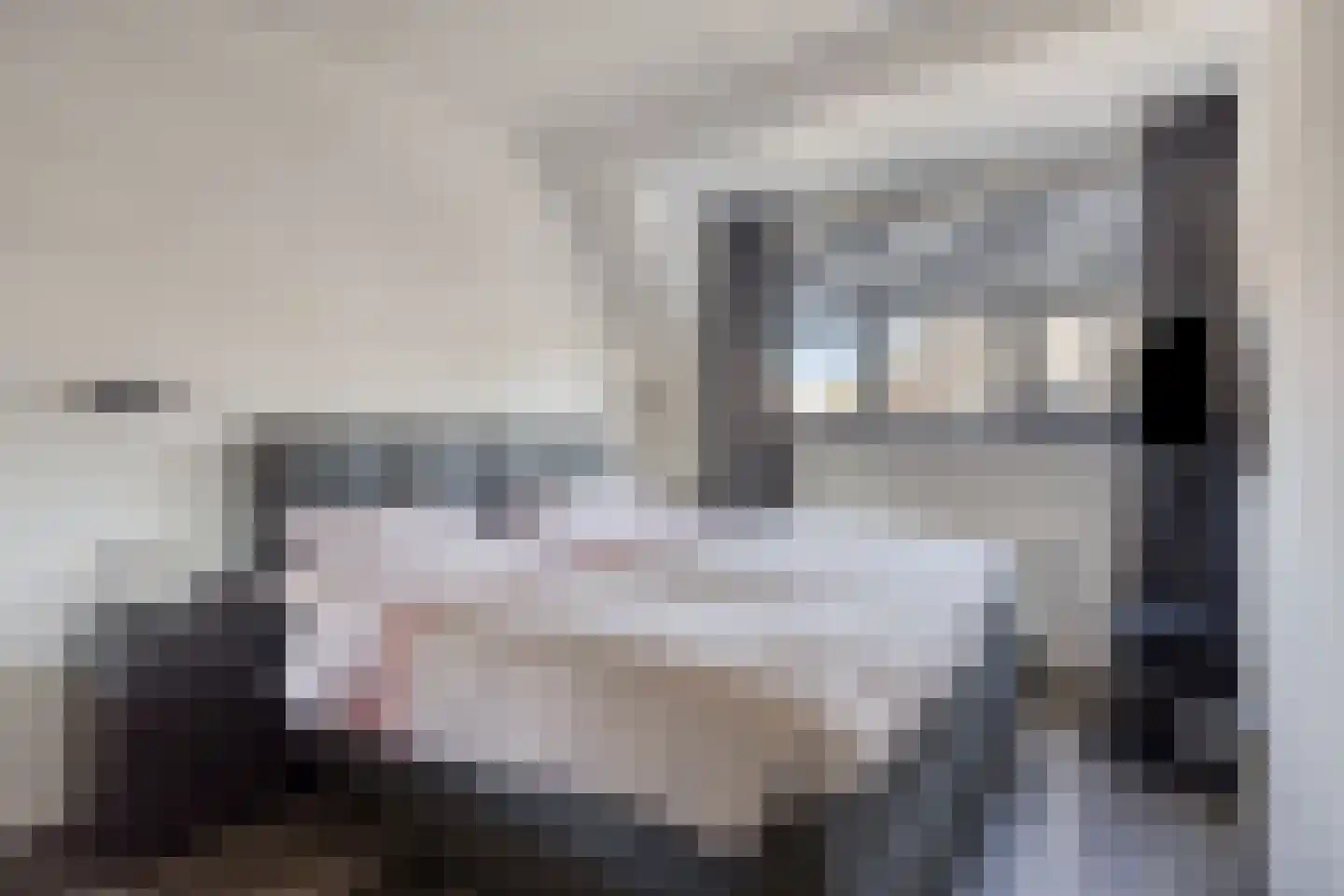 Willem Boyeweg 69 Gennep thumbnail 11