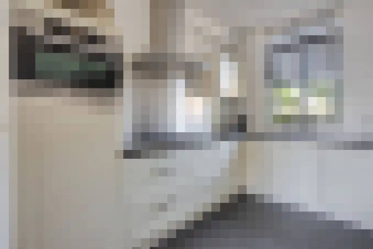 Willem Boyeweg 69 Gennep thumbnail 7