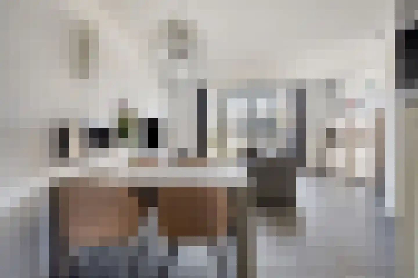 Willem Boyeweg 69 Gennep thumbnail 9