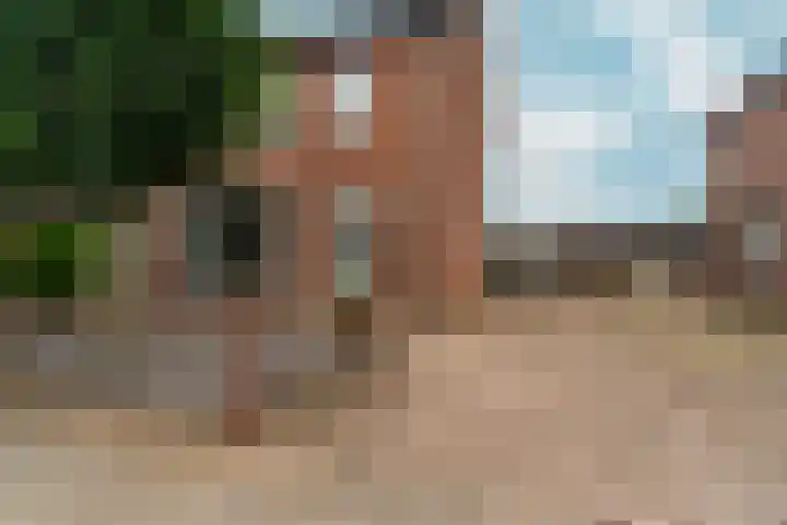 Willem Boyeweg 99 Gennep thumbnail 36