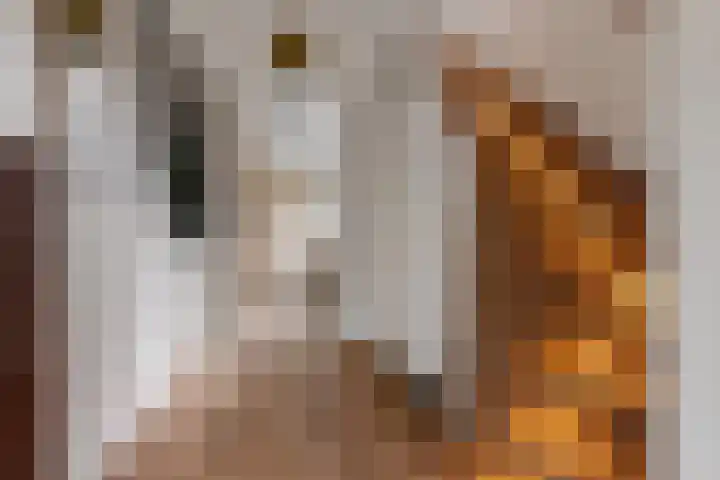 Willem Boyeweg 99 Gennep thumbnail 6