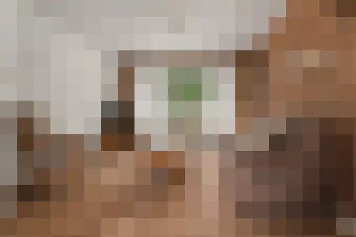 Willem Boyeweg 99 Gennep thumbnail 8