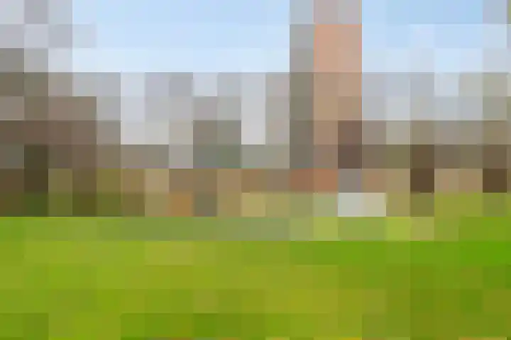 Willem Brinkmanstraat 49 Zaandam thumbnail 23