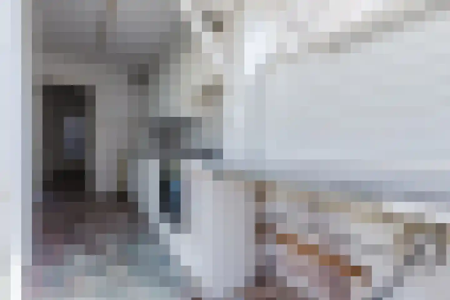Willem Buyslaan 4 Haarlem thumbnail 10