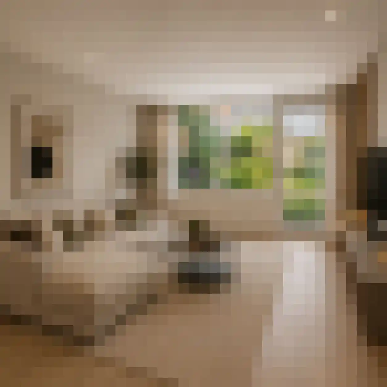 Willem Buytewechstraat 115 D Rotterdam thumbnail 10
