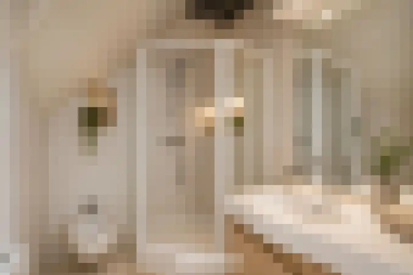 Willem Buytewechstraat 116 B Rotterdam thumbnail 23
