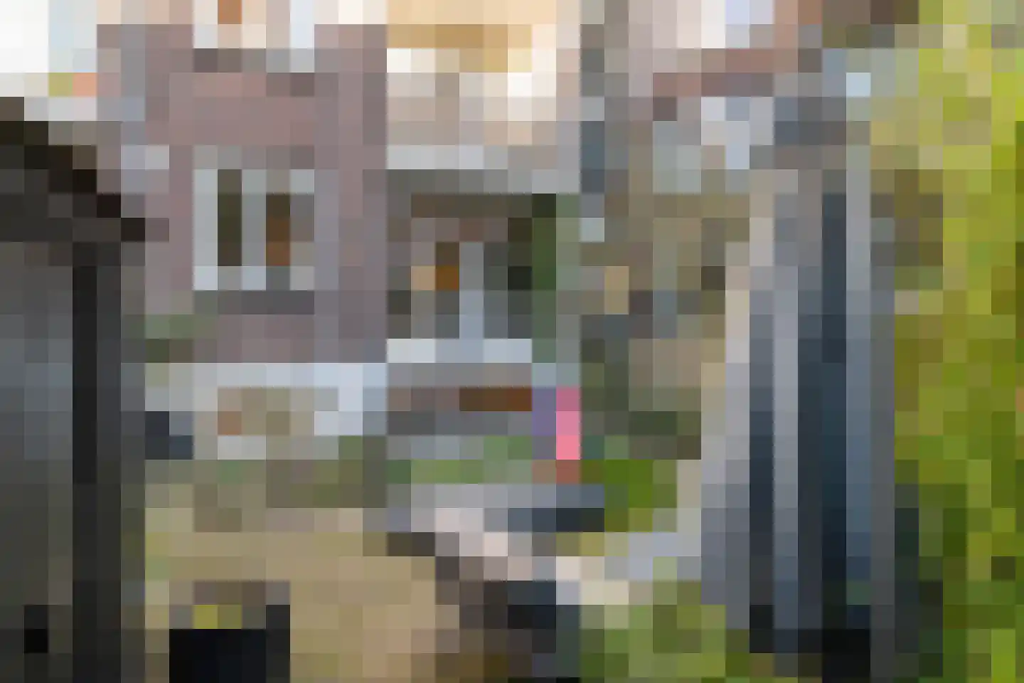 Willem Buytewechstraat 118 B Rotterdam thumbnail 15