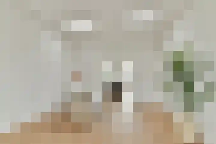 Willem Buytewechstraat 120 C 02 Rotterdam thumbnail 9