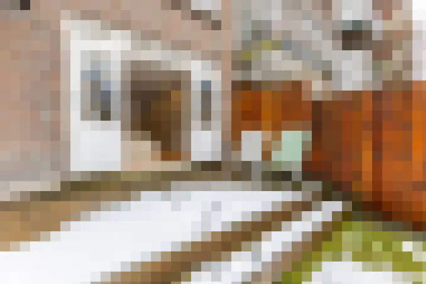 Willem Buytewechstraat 185 B Rotterdam thumbnail 32