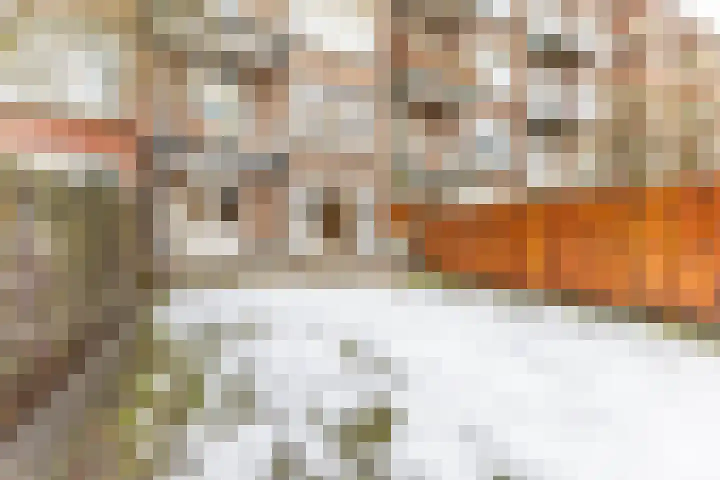 Willem Buytewechstraat 185 B Rotterdam thumbnail 5