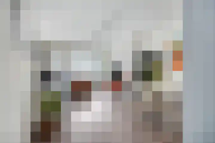 Willem Buytewechstraat 207 A 02 Rotterdam thumbnail 13