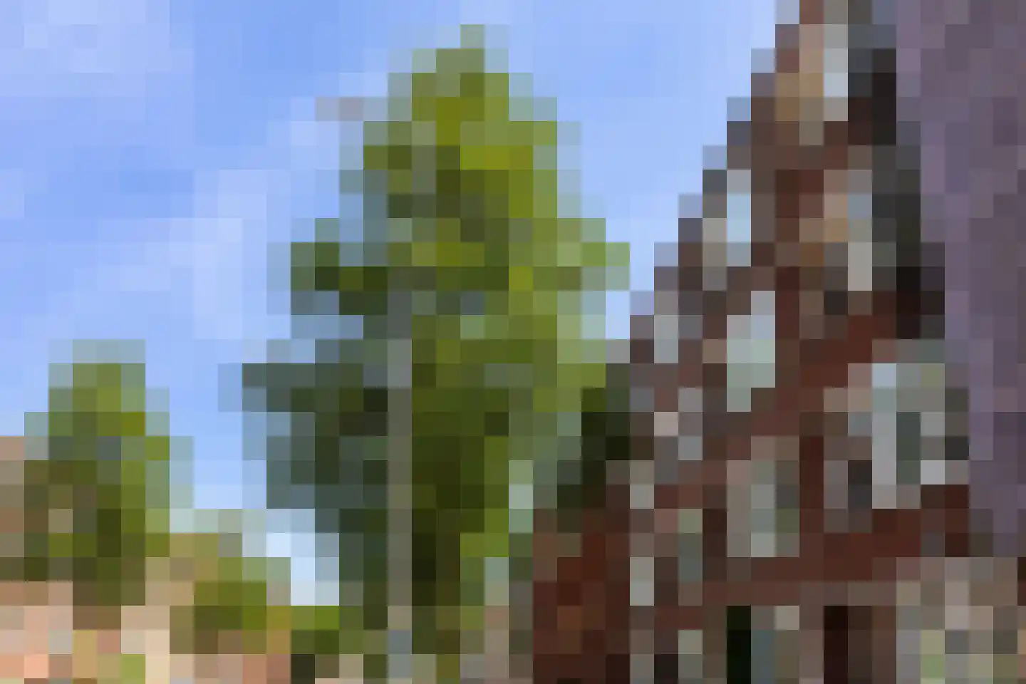 Willem Buytewechstraat 92 B Rotterdam thumbnail 43