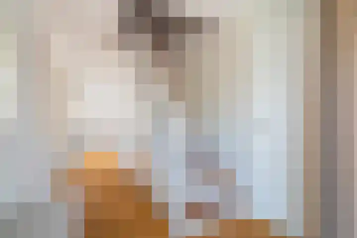 Willem Coepijnstraat 20 Rotterdam thumbnail 8