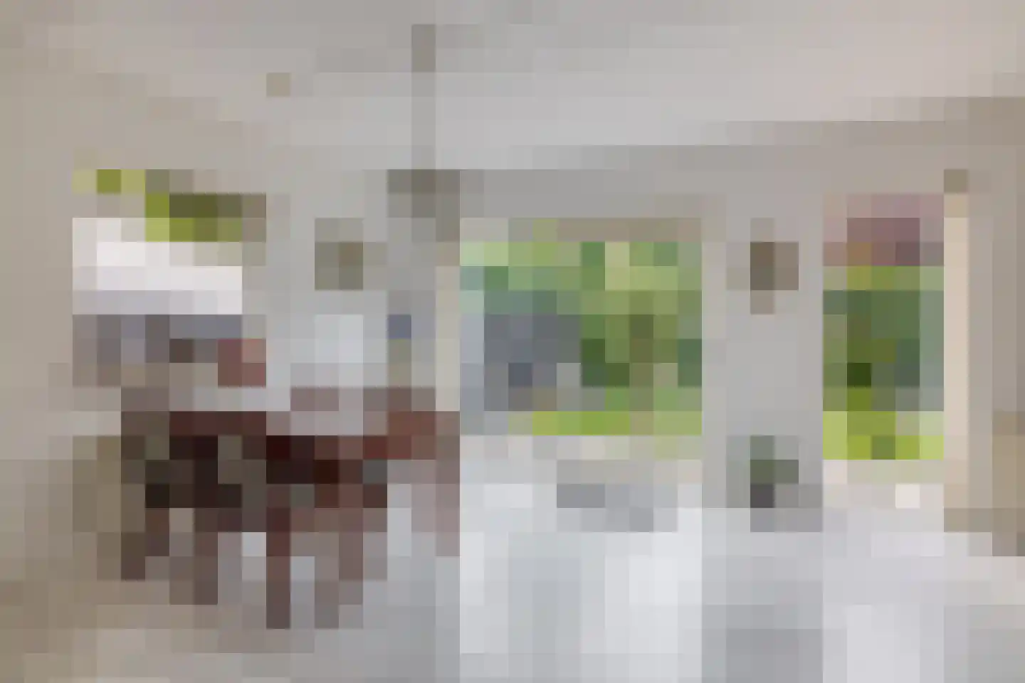 Willem Coepijnstraat 4 Rotterdam thumbnail 14