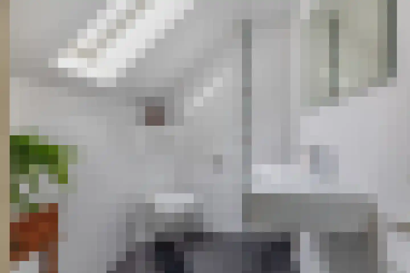 Willem Coepijnstraat 4 Rotterdam thumbnail 37