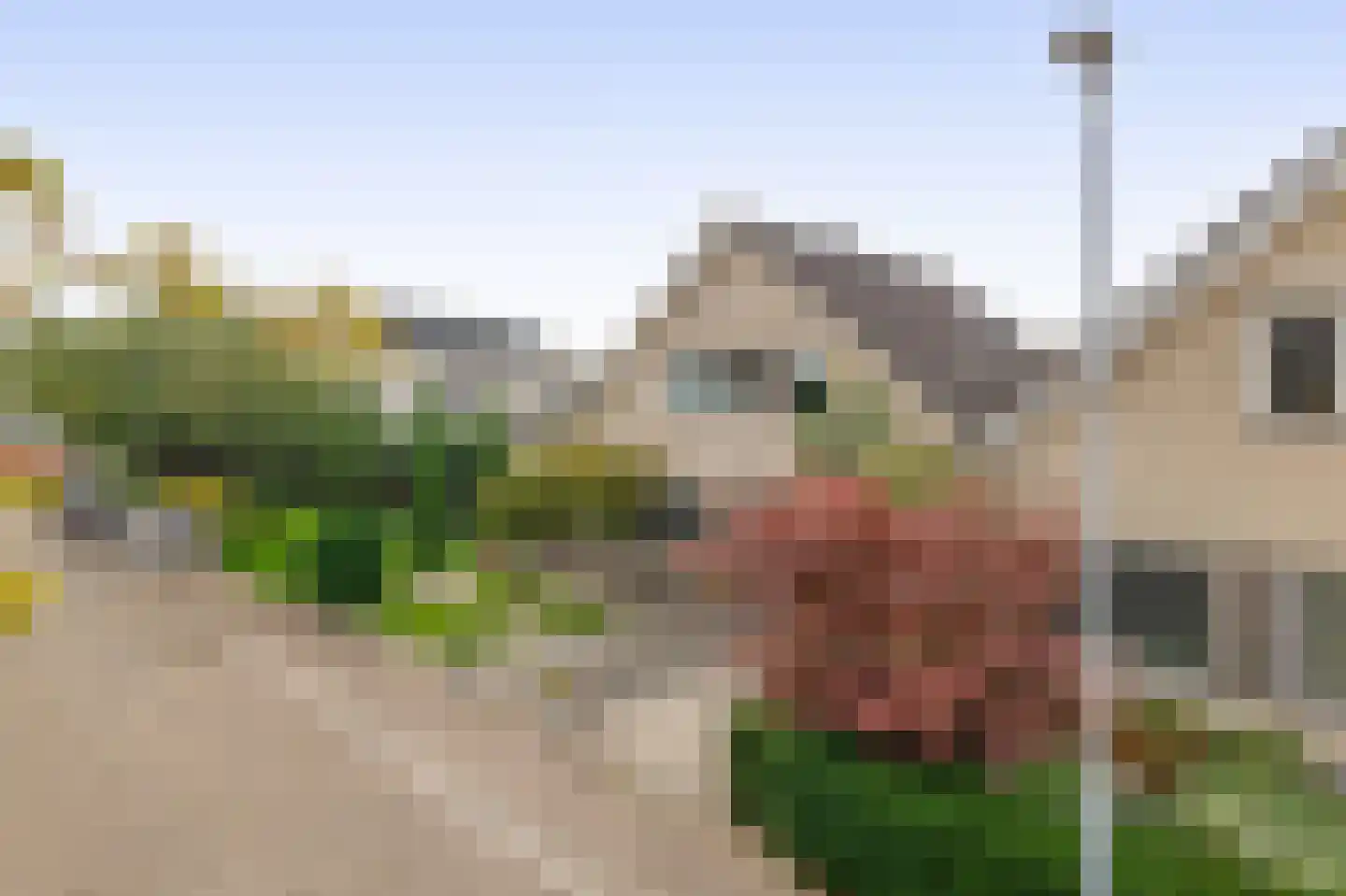 Willem Coepijnstraat 4 Rotterdam thumbnail 43