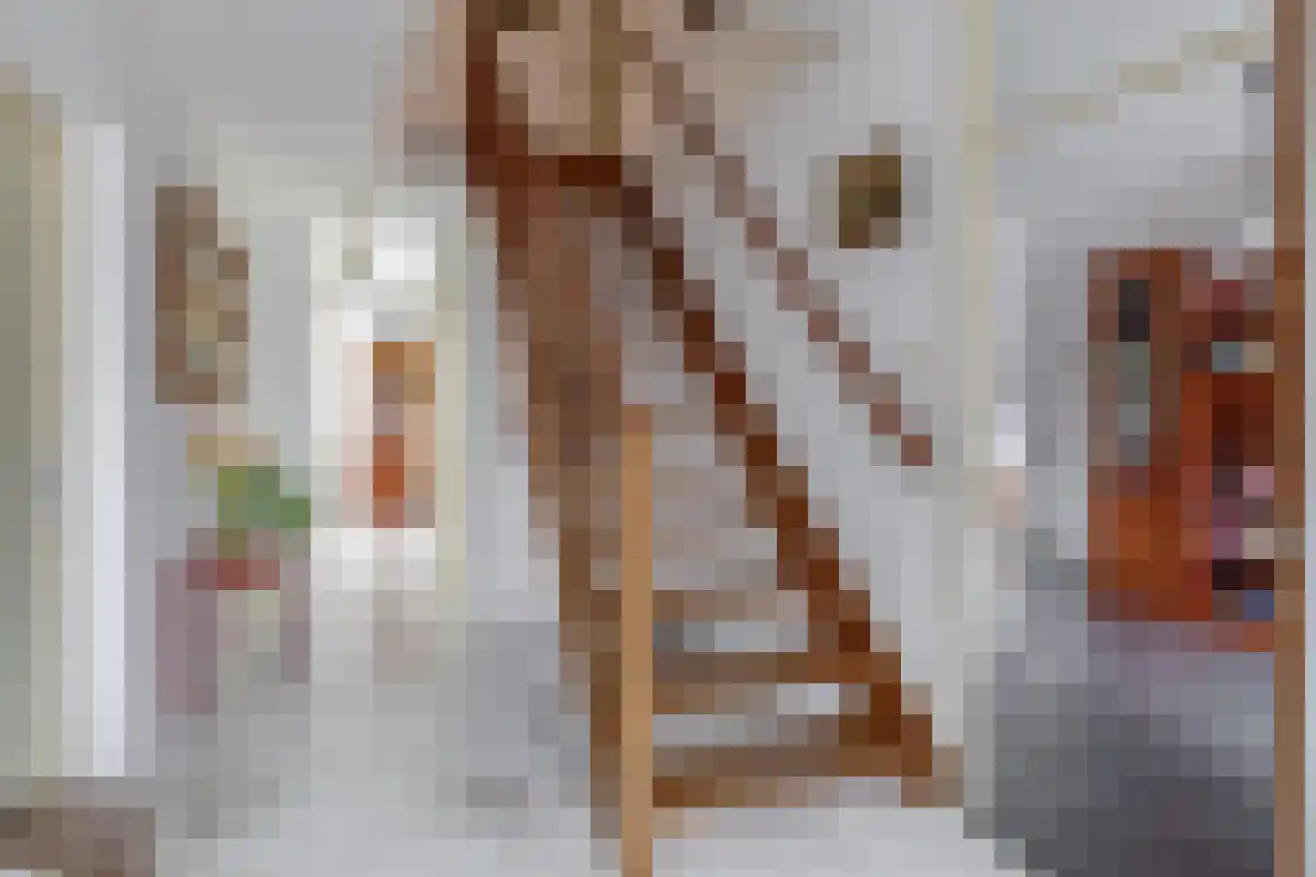 Willem Coepijnstraat 4 Rotterdam thumbnail 8