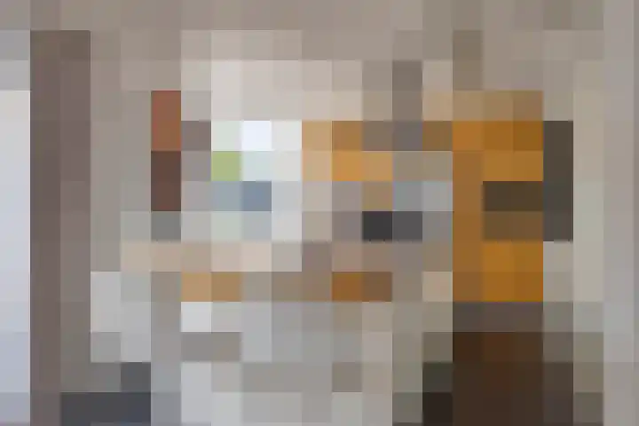 Willem Coepijnstraat 6 Rotterdam thumbnail 10
