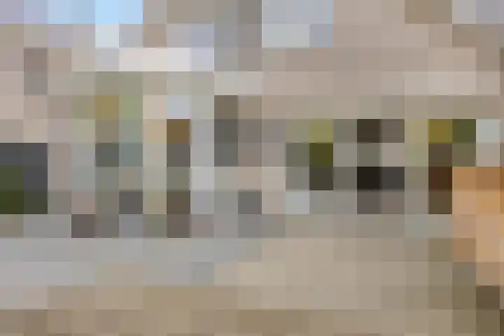 Willem Coepijnstraat 6 Rotterdam thumbnail 16