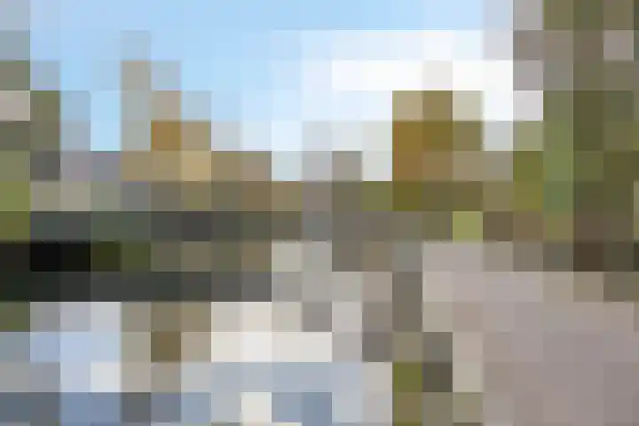 Willem Coepijnstraat 6 Rotterdam thumbnail 37