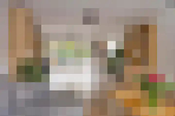 Willem Coepijnstraat 6 Rotterdam thumbnail 6