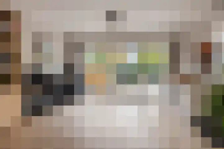 Willem Coepijnstraat 6 Rotterdam thumbnail 7