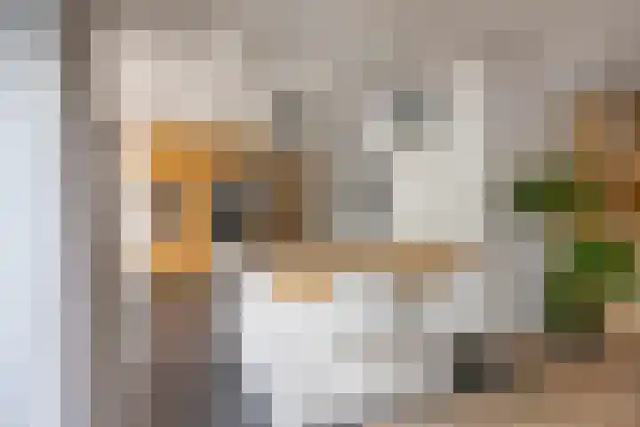 Willem Coepijnstraat 6 Rotterdam thumbnail 9