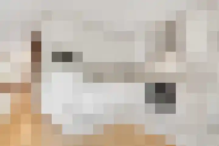 Willem Coxlaan 37 Den Dolder thumbnail 10