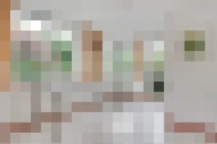 Willem Coxlaan 37 Den Dolder thumbnail 12