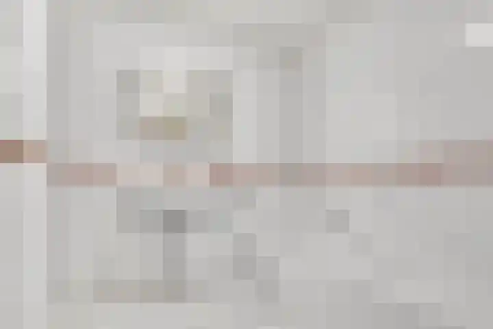 Willem Coxlaan 37 Den Dolder thumbnail 22