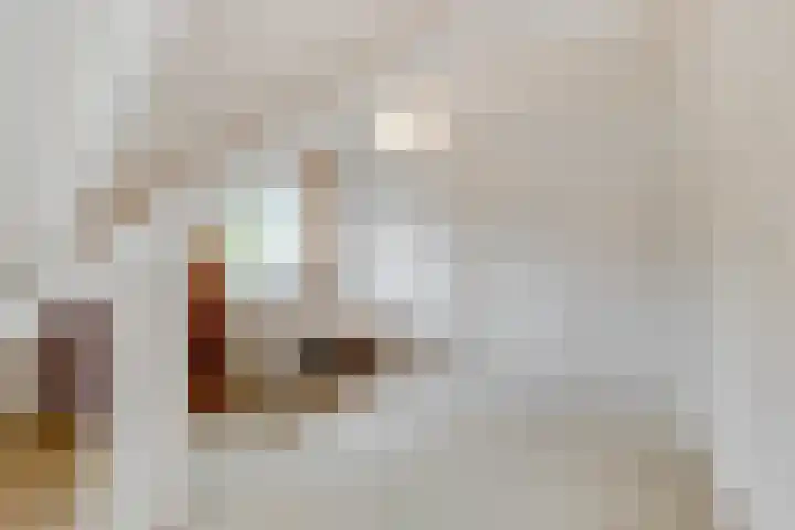 Willem Coxlaan 37 Den Dolder thumbnail 29