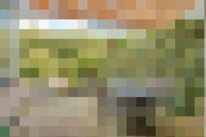Willem Coxlaan 37 Den Dolder thumbnail 31
