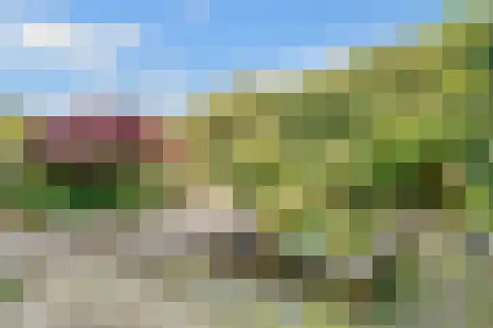 Willem Coxlaan 37 Den Dolder thumbnail 32