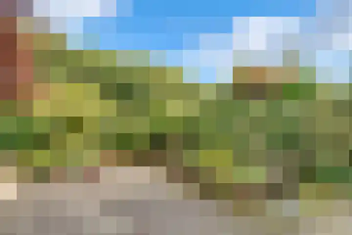 Willem Coxlaan 37 Den Dolder thumbnail 33